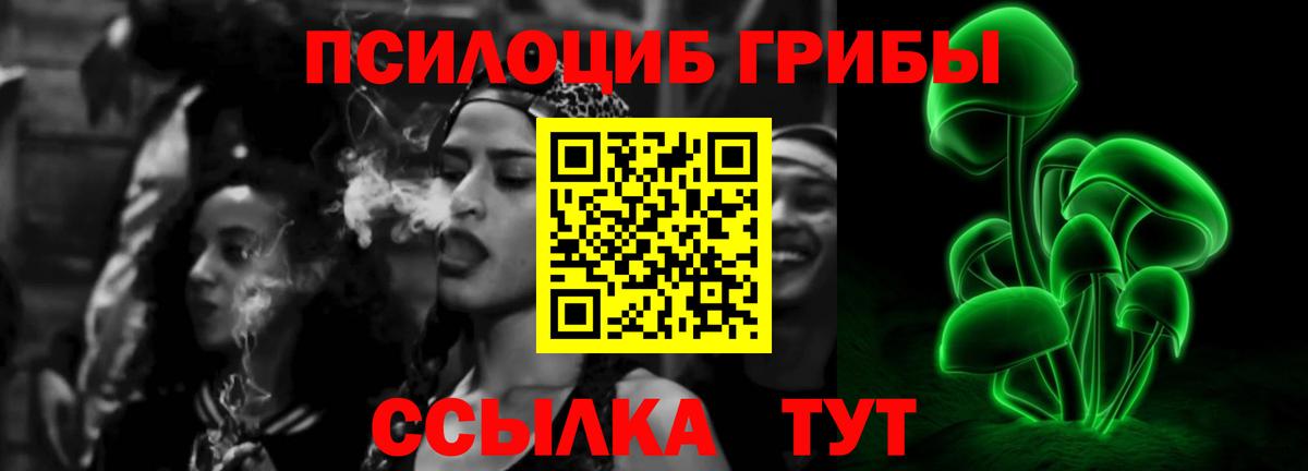 Псилоцибиновые грибы Cubensis Шахты